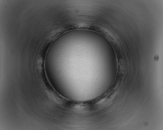 X0000101140550200807071128