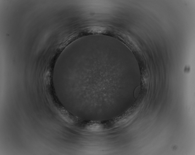 X0000101140551200807071129