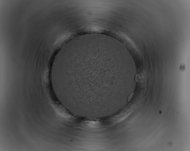 X0000101140552200807071129