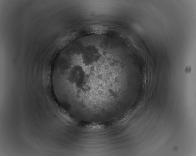 X0000101140553200807071129