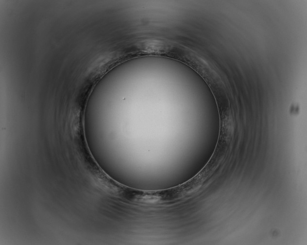 X0000101140554200807071129