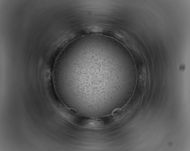 X0000101140555200807071129