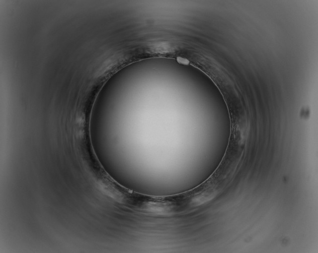 X0000101140556200807071129