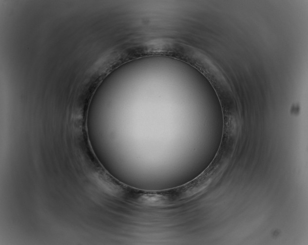 X0000101140557200807071129