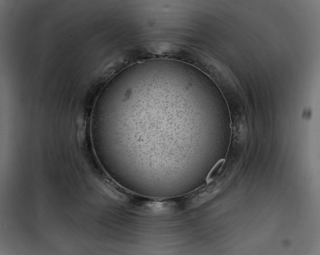 X0000101140558200807071129