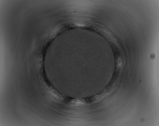 X0000101140559200807071129