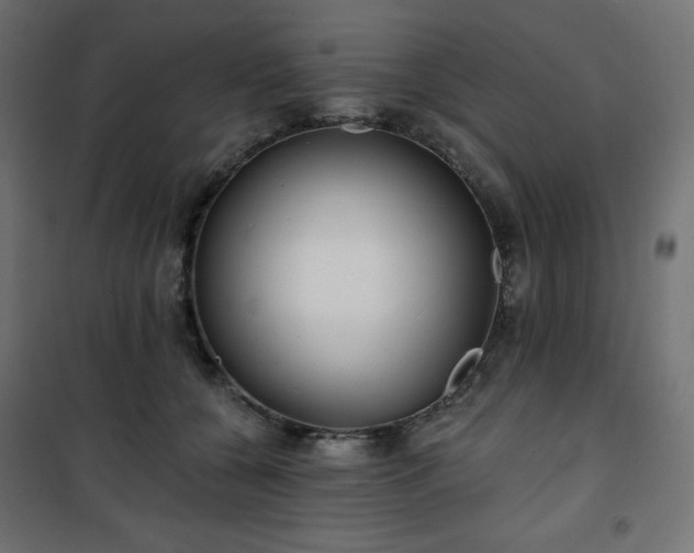 X0000101140560200807071129