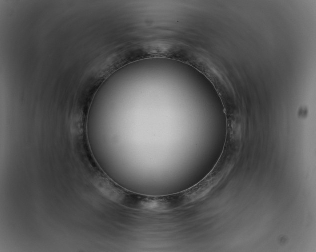 X0000101140561200807071129