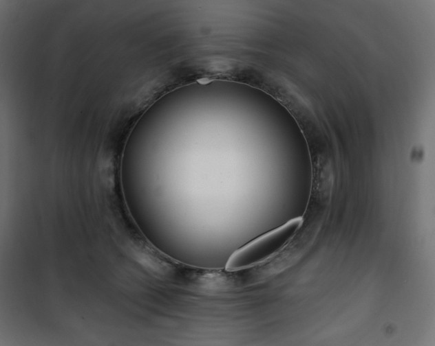 X0000101140562200807071129