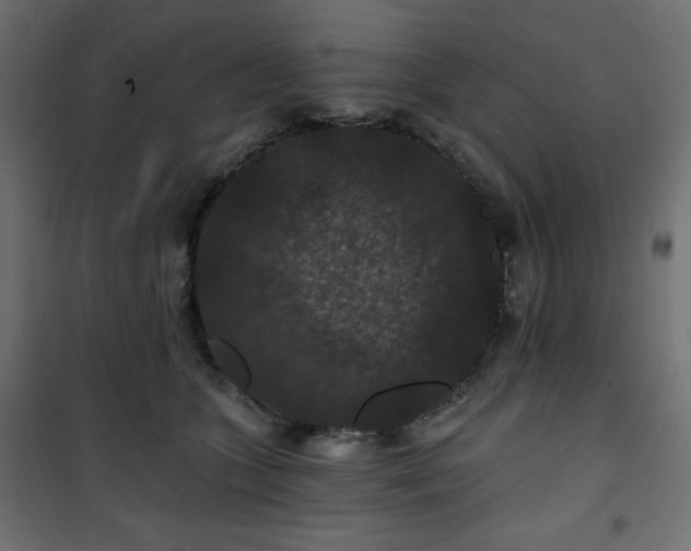 X0000101140563200807071129