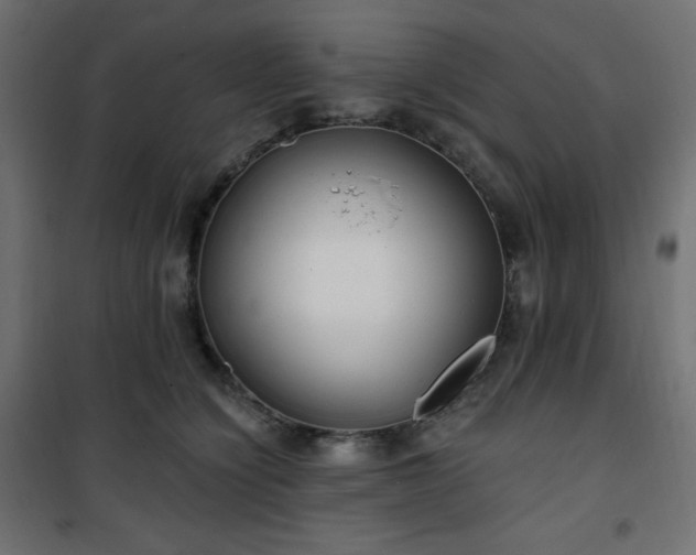 X0000101140564200807071129