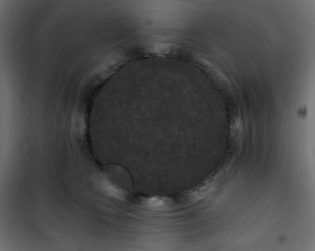 X0000101140566200807071129