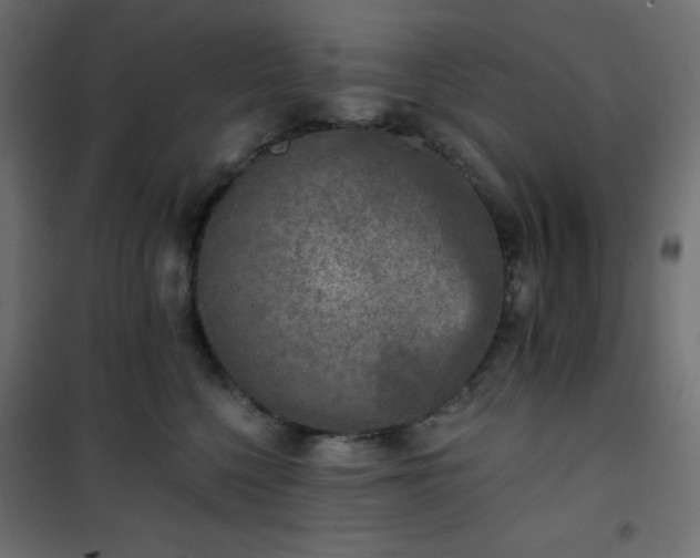 X0000101140568200807071129