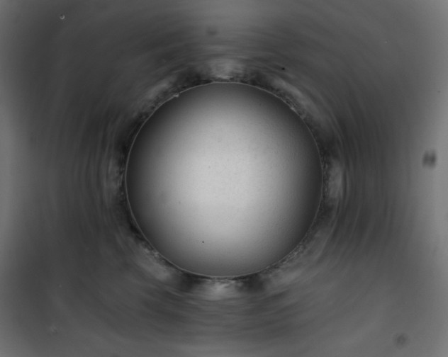 X0000101140569200807071129