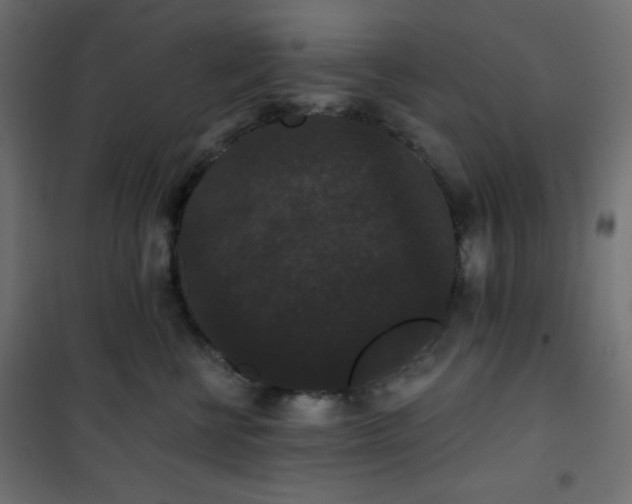 X0000101140570200807071129