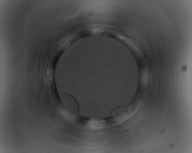 X0000101140571200807071129