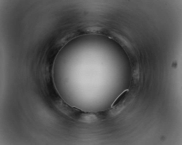 X0000101140572200807071129