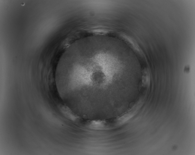 X0000101140573200807071129