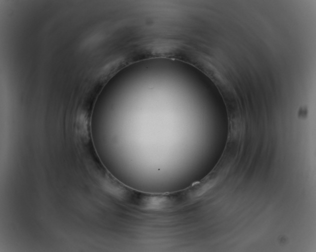 X0000101140575200807071129