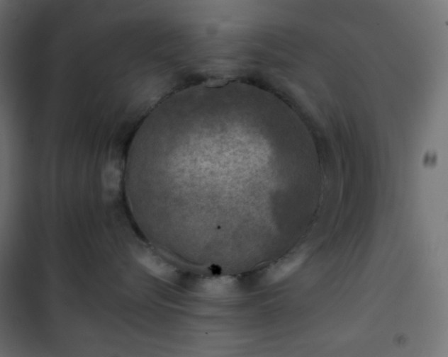 X0000101140576200807071129