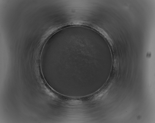 X0000101140577200807071128