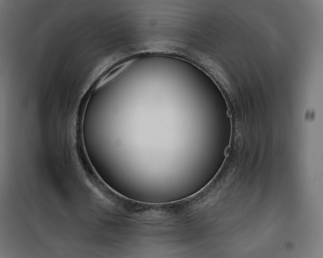 X0000101140578200807071128