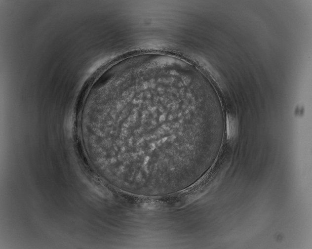 X0000101140579200807071128