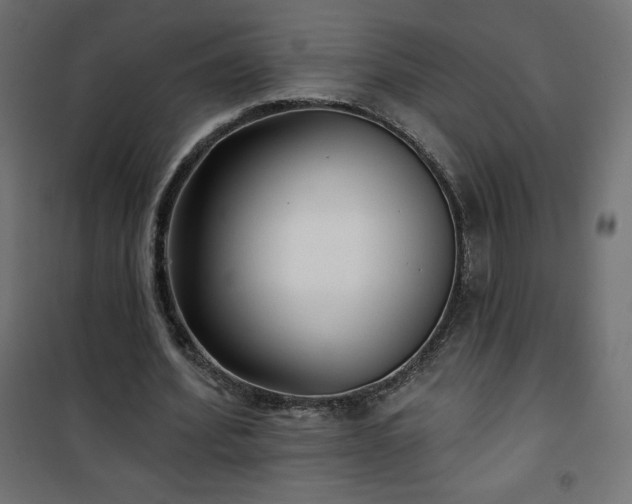 X0000101140580200807071128