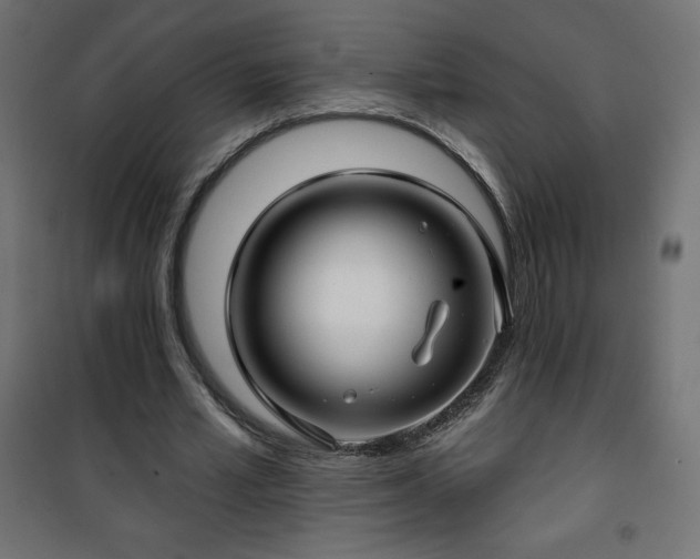 X0000101140581200807071128