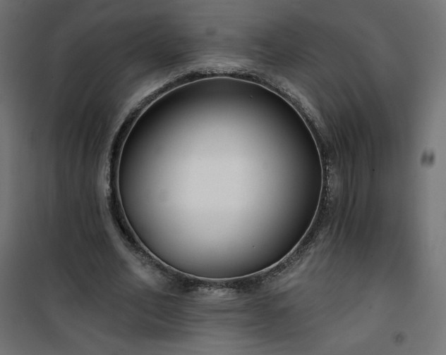 X0000101140582200807071128