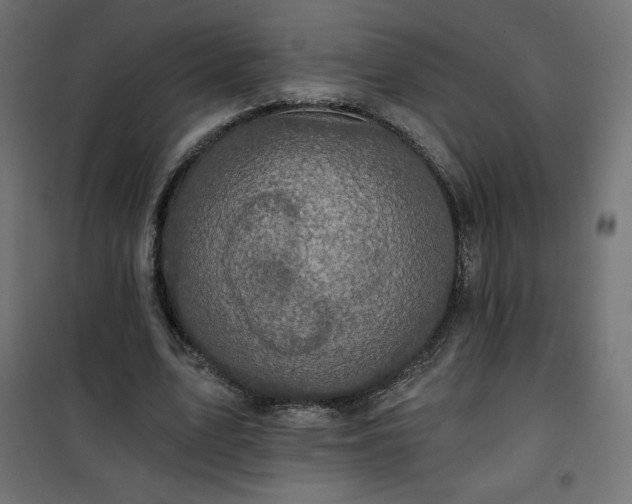 X0000101140583200807071128