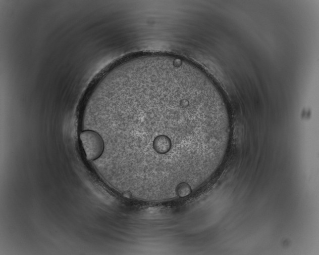 X0000101140584200807071128