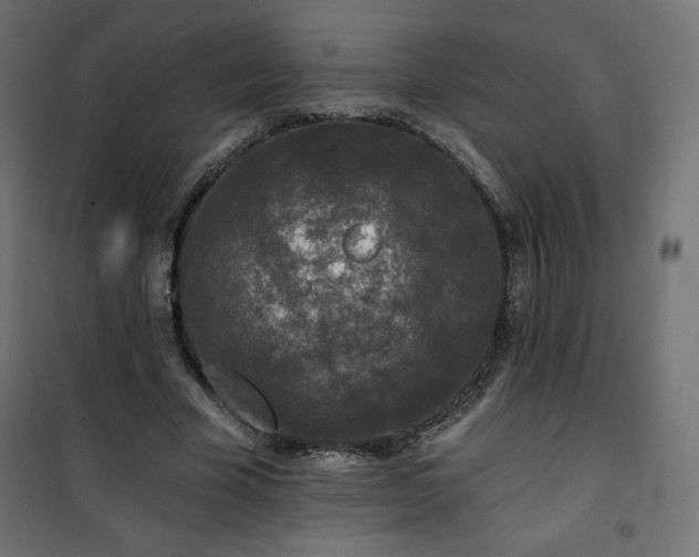 X0000101140585200807071128