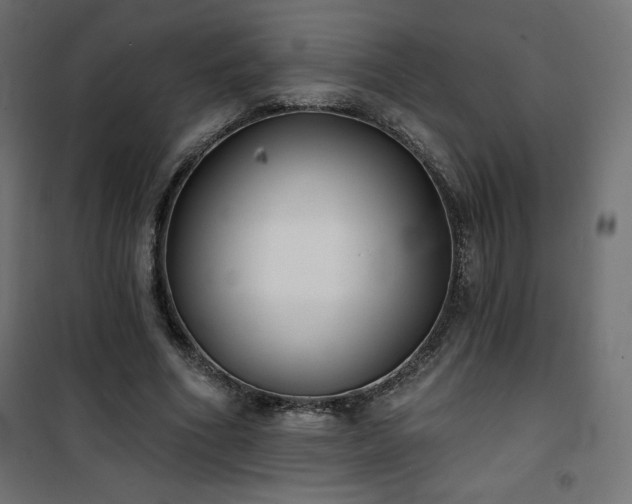 X0000101140586200807071128