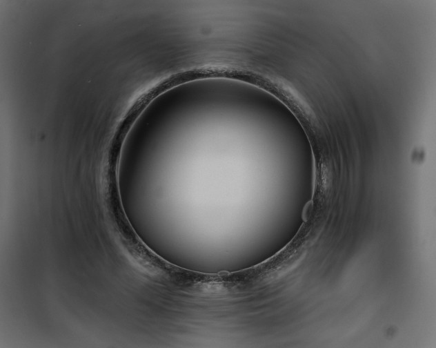 X0000101140588200807071128