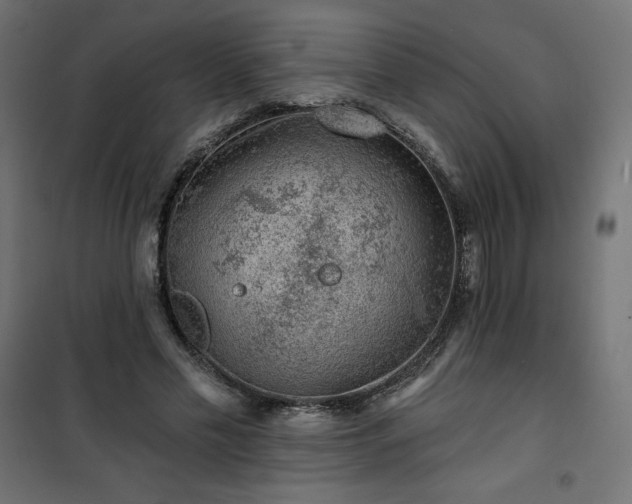 X0000101140589200807071128