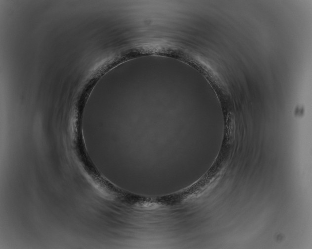 X0000101140590200807071128