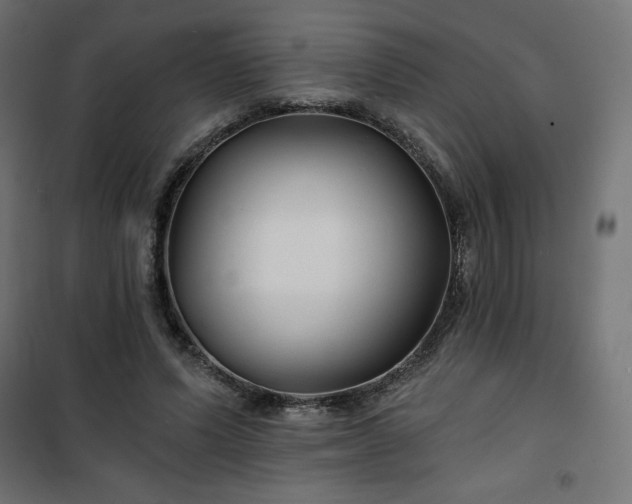 X0000101140591200807071128