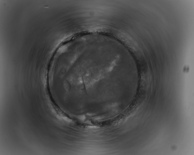 X0000101140592200807071128