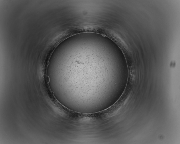 X0000101140593200807071128