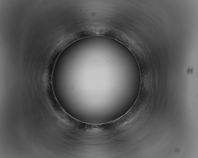 X0000101140594200807071128