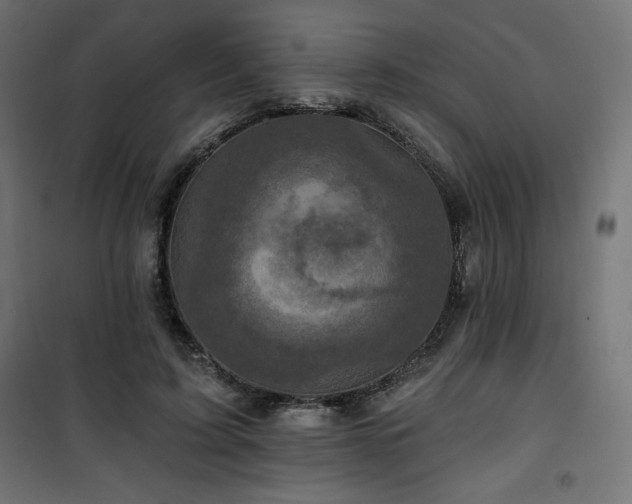 X0000101140595200807071128