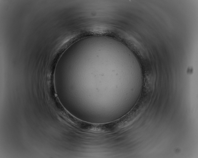 X0000101140596200807071128