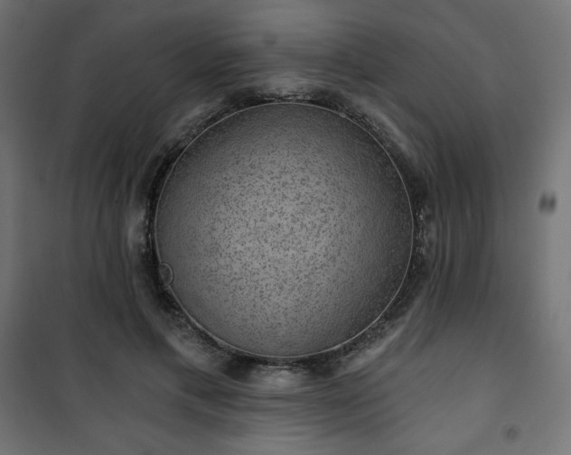 X0000101140597200807071128