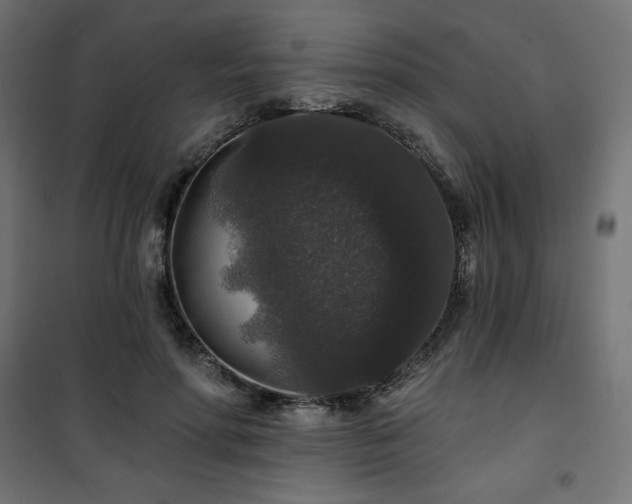 X0000101140598200807071128