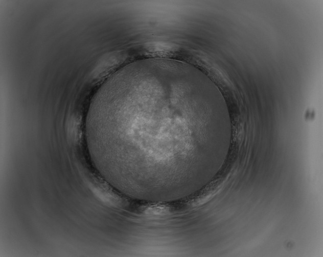 X0000101140599200807071128