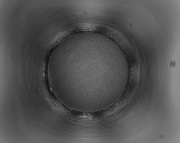 X0000101140600200807071128