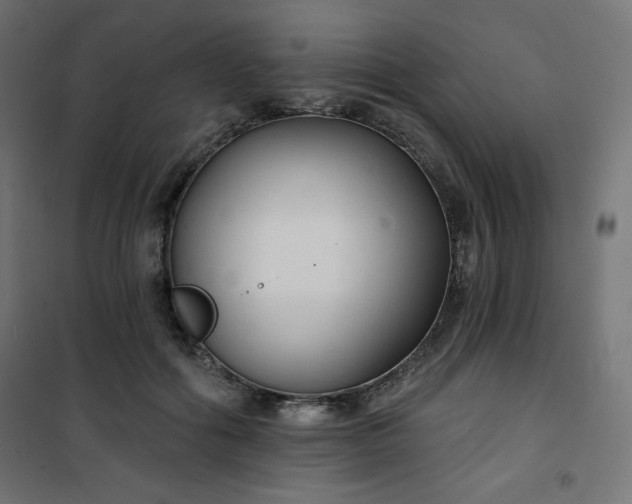 X0000101140602200807071128