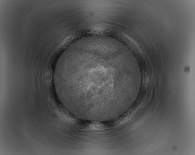 X0000101140603200807071128