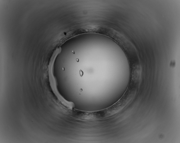 X0000101140604200807071128